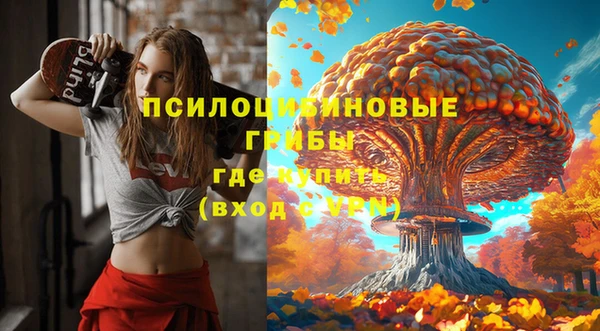амф Алексеевка