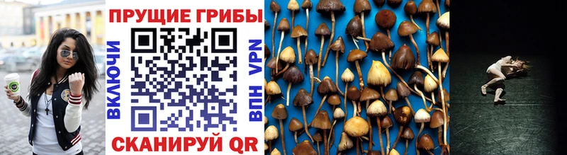 Галлюциногенные грибы ЛСД Гуково